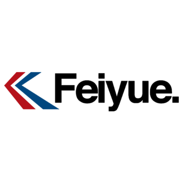 Feiyue International LLC